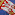 Novine