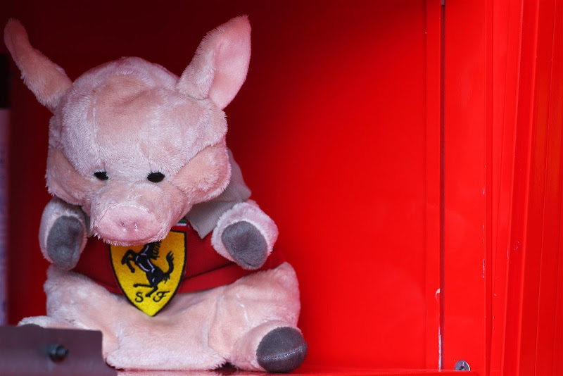 розовая плюшевая свинка Ferrari на Гран-при Австралии 2013