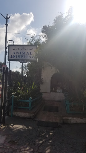Animal Hospital «L A Central Animal Hospital», reviews and photos