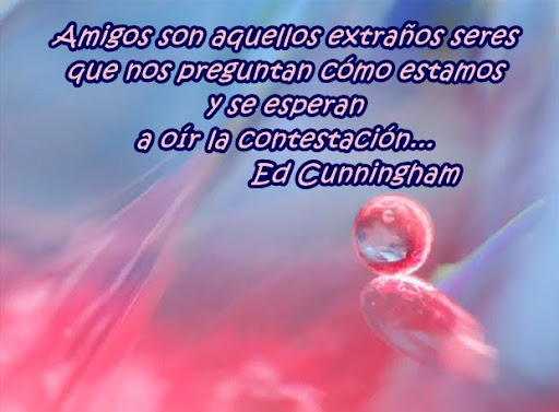 ... frases cortas con imagen, ahora Nicks para msn amistad para mujeres