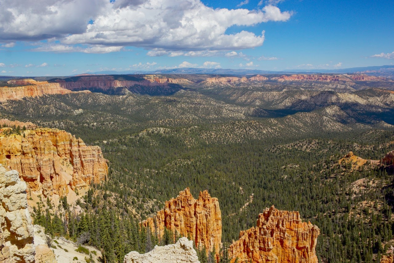 Día 11: Visita a Bryce y llegada a Zion - Parques nacionales del oeste de EEUU and more (29)