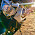 Guilherme Lorente avatar