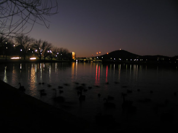 lake by night