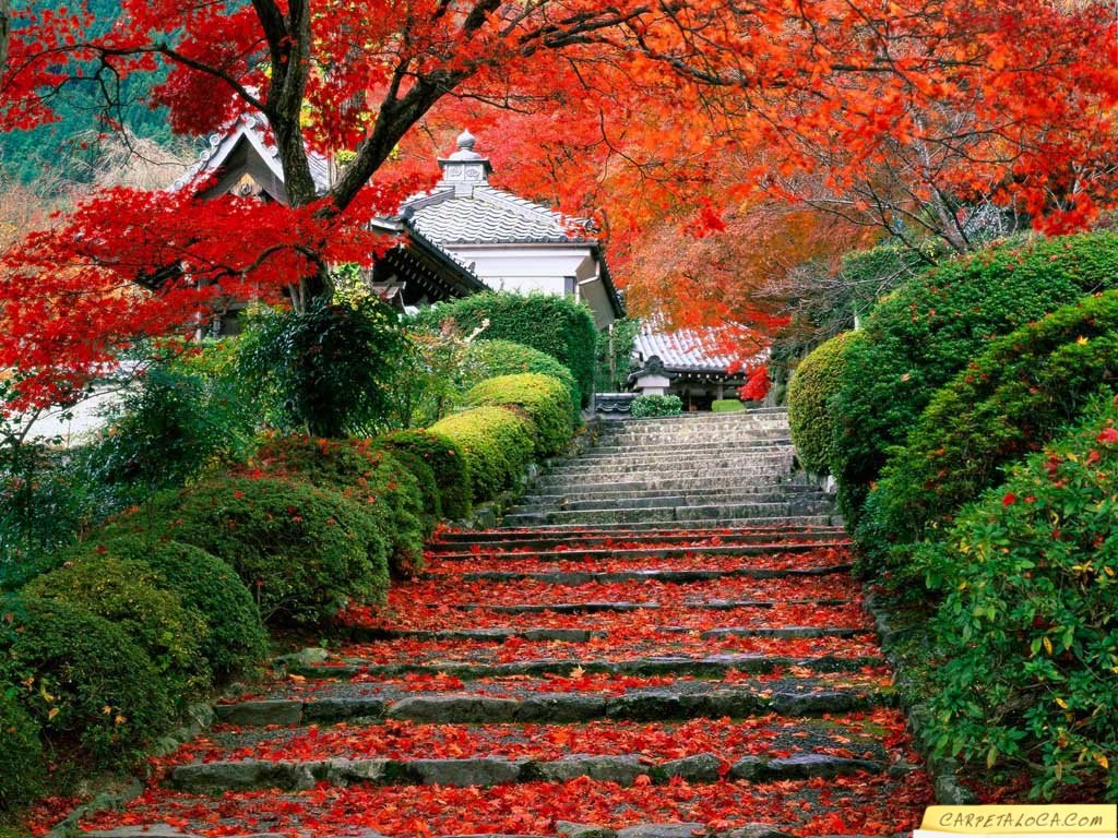 Los 10 paisajes oceánicos más bellos del mundo Quo