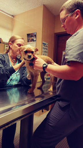 Veterinarian «Jackson Animal Clinic», reviews and photos