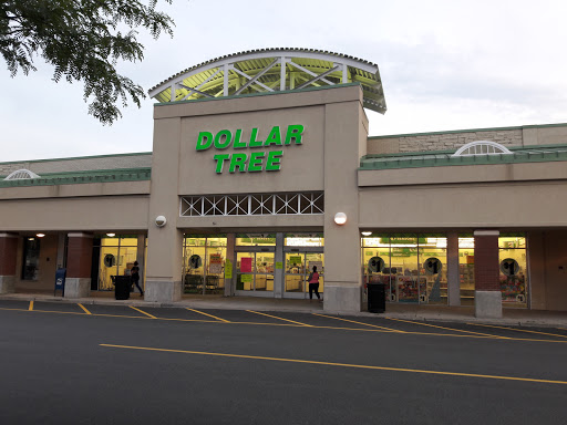 Dollar Store «Dollar Tree», reviews and photos, 423 US-46, Dover, NJ 07801, USA