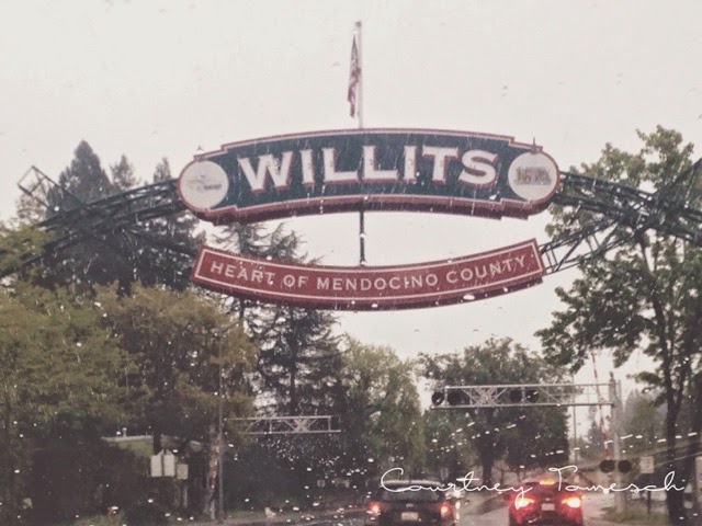 Willits California