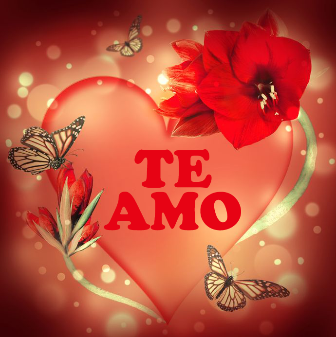 fotos de amor corazon}