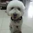 Lim Chu Chik