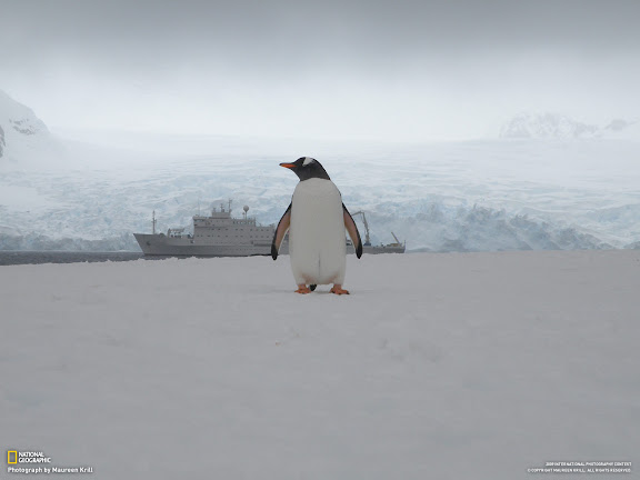  National Geographic