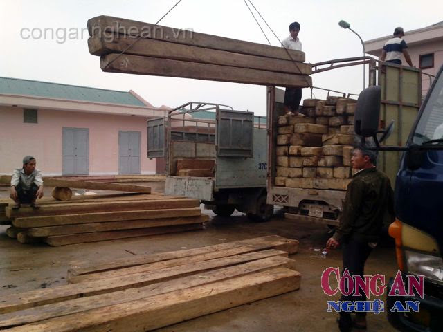 Số gỗ bị bắt giữ tại Phòng CSPCTP về Môi trường Công an Nghệ An