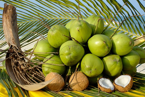 Chùm thơ ngũ quả mừng Xuân hay, ý nghĩa cho ngày Tết Thơ viết về mâm ngũ quả ngày Tết