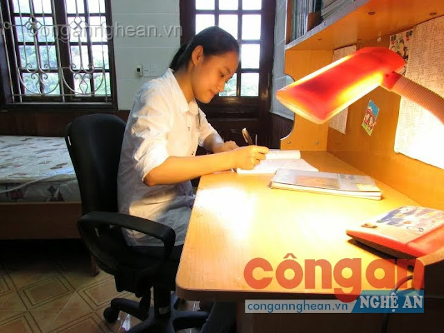 Lê Thị Thùy Linh, thủ khoa khối D1 đầu tiên cao nhất của cả nước