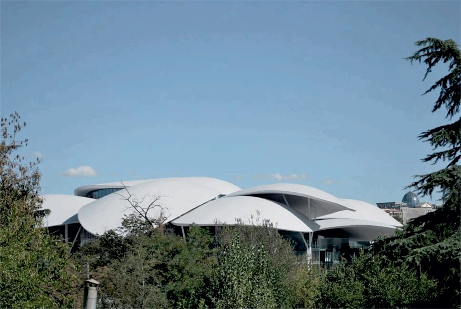 Massimiliano and Doriana Fuksas