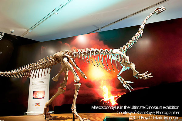 Cyrolophosaurus
