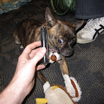 even Delta helped.  about as much as she always does.  Thanks to Aaron for the pics BTW