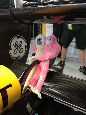 Caterham и обезьянки на заднем крыле на Гран-при Великобритании 2012
