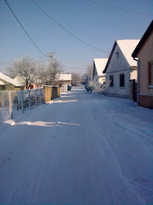 Ловћенац зими