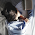 Alice Duarte avatar