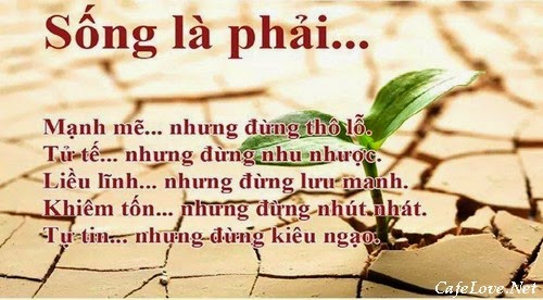 Anh-status-hay-ve-nhung-bai-hoc-tu-cuoc-song-_03.jpg