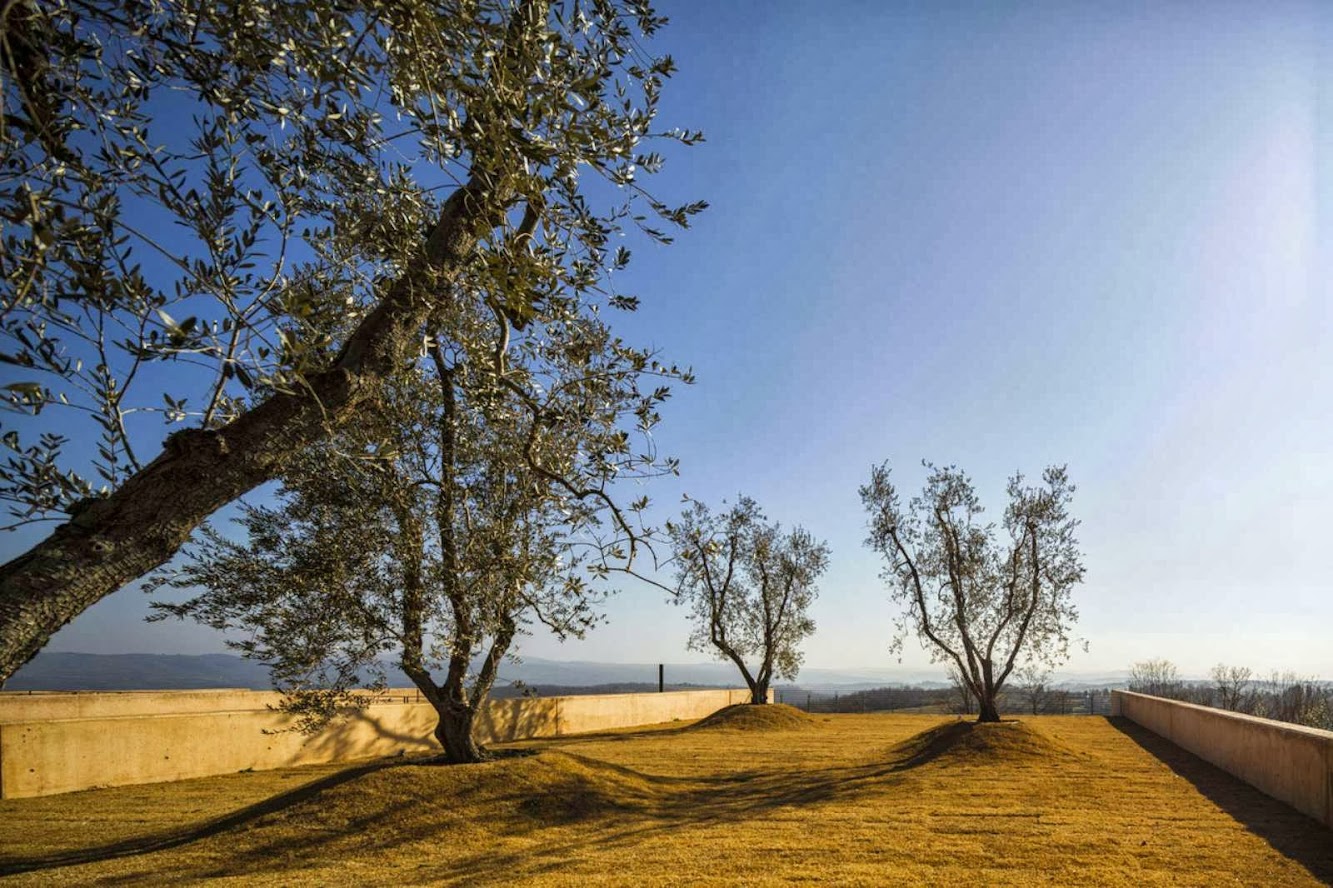 Bulgari Winery by Alvisi Kirimoto Partners