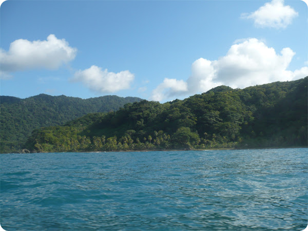 Paraje entre Puerto Obaldía y Capurganá Paraje entre Puerto Obaldía y Capurganá
