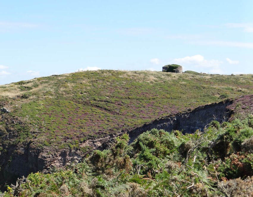 Le cap Fréhel par Bretagne-web.fr