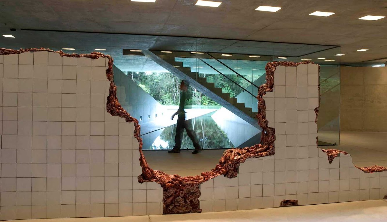 Tacoa Arquitetos