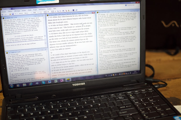 translation software