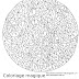 Inspiration Jeux De Coloriage Pokemon Inspiration Jeux De Coloriage Pokemon