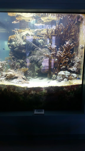 Aquarium «St. Lucie County Aquarium», reviews and photos, 420 Seaway Dr, Fort Pierce, FL 34949, USA