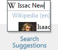 ie8_searchsuggestion_on.jpg
