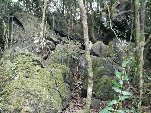 Parque Estadual Intervales Parque Estadual Intervales