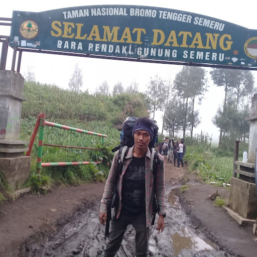 Kecurangan Kalangan Gelanggang Ayam Bangkok Gombong Kecurangan Kalangan Gelanggang Ayam Bangkok Gombong