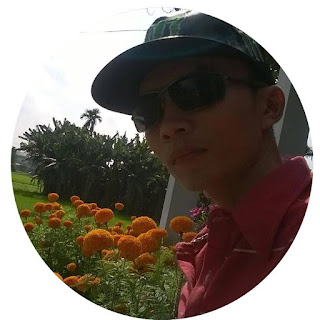 Tentang Blog Đỗ Mạnh Hồng About Đỗ Mạnh Hồng