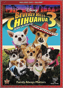 Perdido Pra Cachorro 3