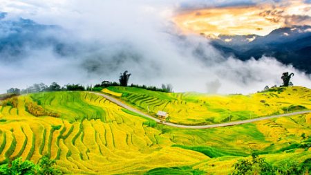 Những bài thơ hay viết về miền núi Tây Bắc nước ta Những bài thơ hay viết về miền núi Tây Bắc nước ta