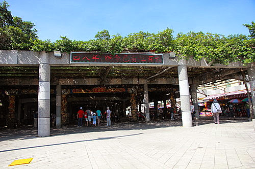 通樑古榕 (2)