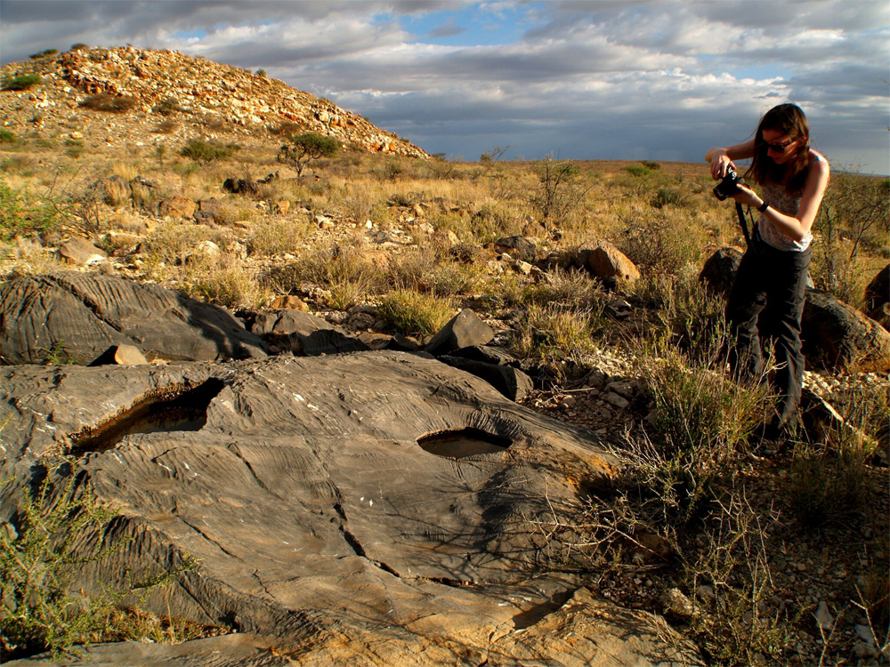 Study provides strongest evidence oxygen levels were key to early animal evolution Study provides strongest evidence oxygen levels were key to early animal evolution