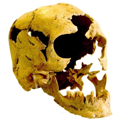 A federal origin of Stone Age farming A federal origin of Stone Age farming