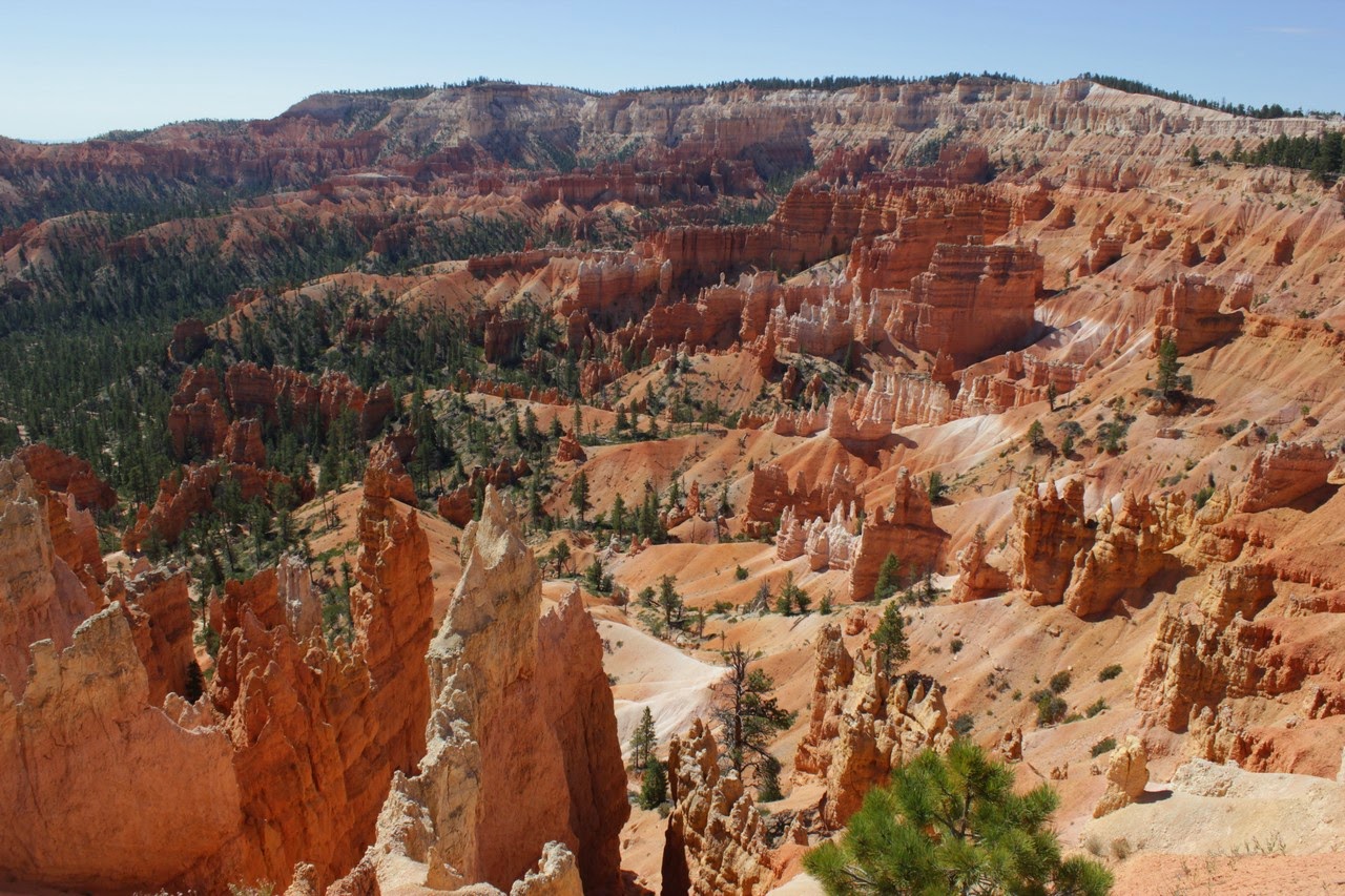 Día 11: Visita a Bryce y llegada a Zion - Parques nacionales del oeste de EEUU and more (28)
