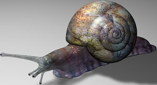 Ilustración de un caracol simple Ilustración de un caracol simple