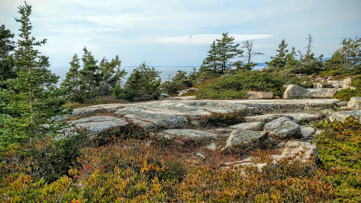 Vista Point «Schoodic Point», reviews and photos, Arey Cove Rd, Winter Harbor, ME 04693, USA