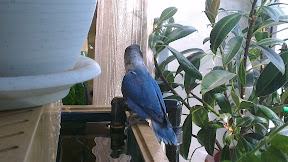 IMAG0414.jpg