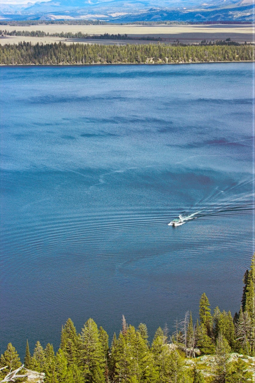 Día 6: Grand Teton: Mormon Row, miradores y barco sobre el Jenny Lake - Parques nacionales del oeste de EEUU and more (50)