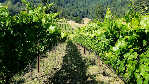 Winery «Windy Oaks Winery», reviews and photos, 550 Hazel Dell Rd, Corralitos, CA 95076, USA