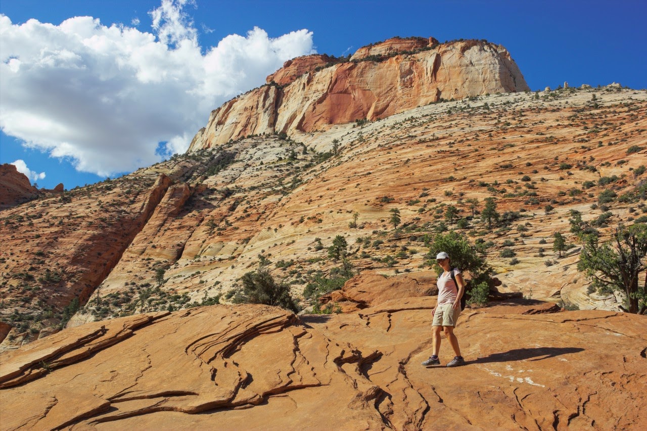 Día 11: Visita a Bryce y llegada a Zion - Parques nacionales del oeste de EEUU and more (55)