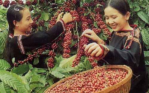 Chùm thơ tình Tây Nguyên hay nhất Những bài thơ tình Tây Nguyên hay nhất