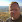 Wound Care News Update September 2012 Wound Care News Update September 2012
