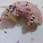 Half-Eaten Donut